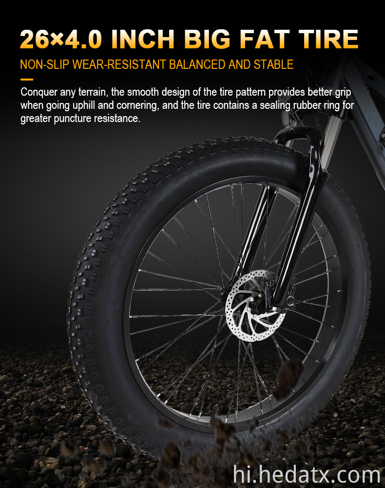 Brushless Motor Electric Fat Tire Bike